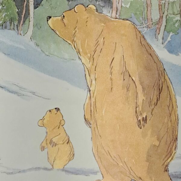 Torniamo a casa, piccolo orso - immagine 2