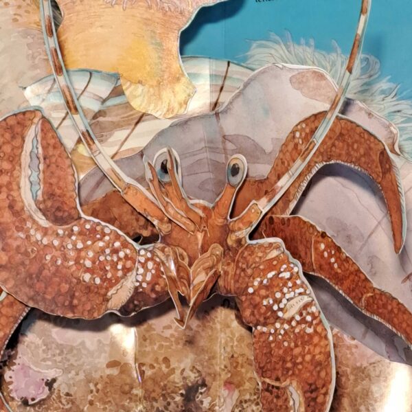 Bizzarri Animali Marini - immagine 2