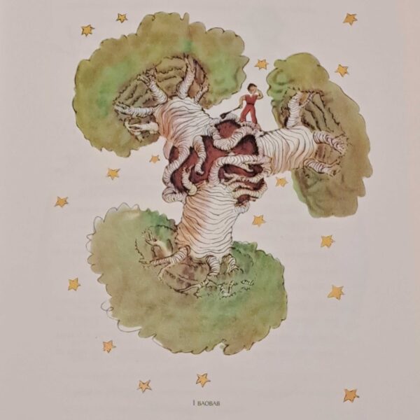 Il piccolo principe - immagine 2