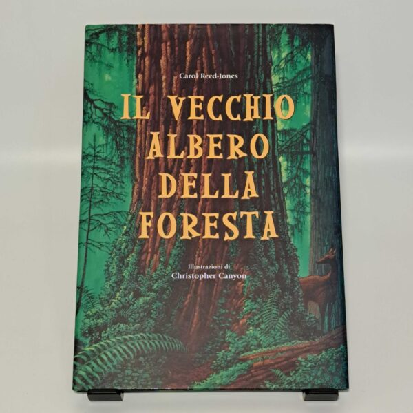 Il vecchio albero della foresta