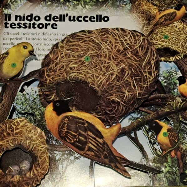 Le case degli animali - immagine 2