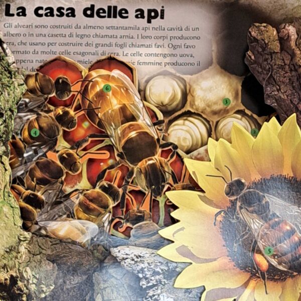Le case degli animali - immagine 3