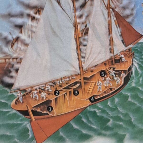 Pirati - immagine 4