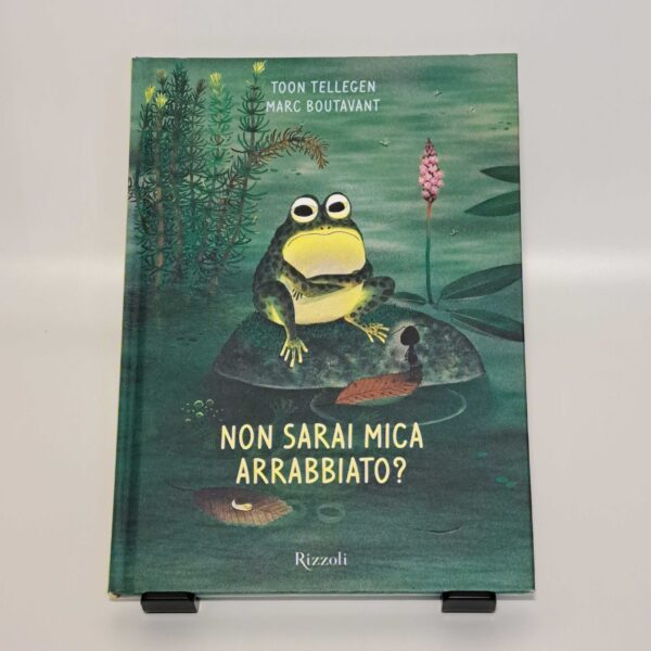 Non sarai mica arrabbiato?