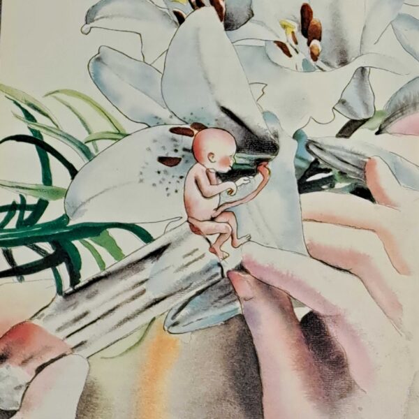 Storie di bambini piccolissimi - immagine 2